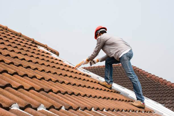 Best Storm Damage Roof Repair  in Columbus, MS